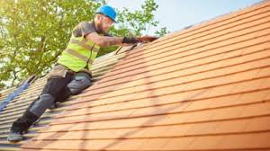 Best Roof Maintenance and Cleaning  in Goodland, IN